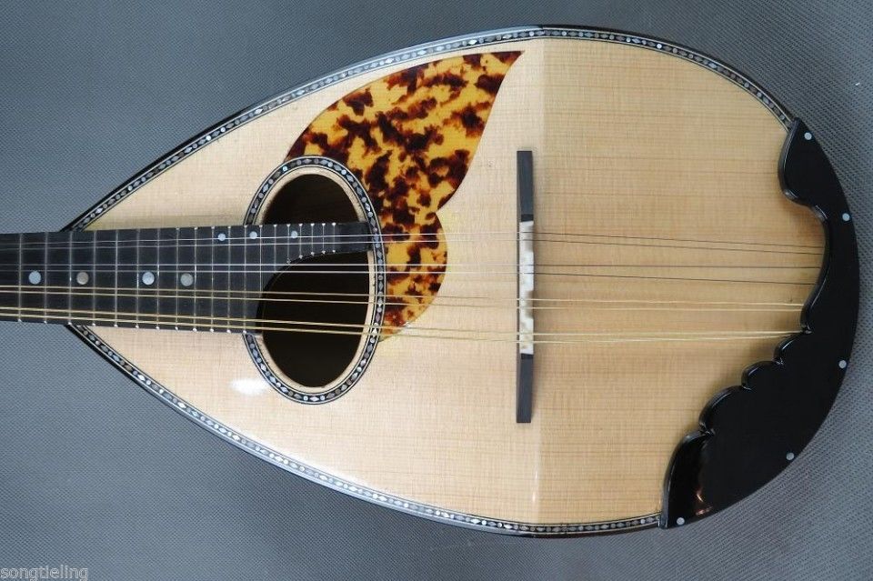Professional Japanese style 8s - Mandolin A Style ulasan dan harga