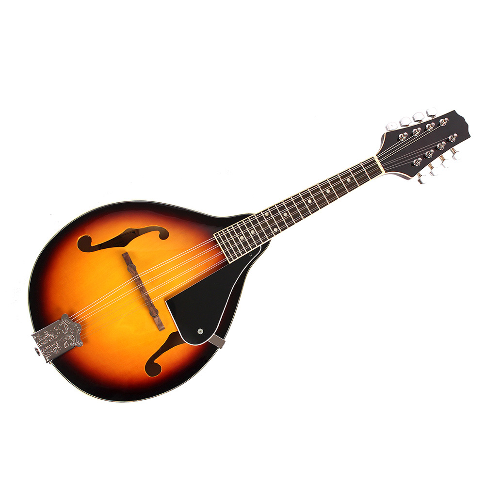 IRIN Mandolin 8-String Guitar  - Mandolin A Style ulasan dan harga