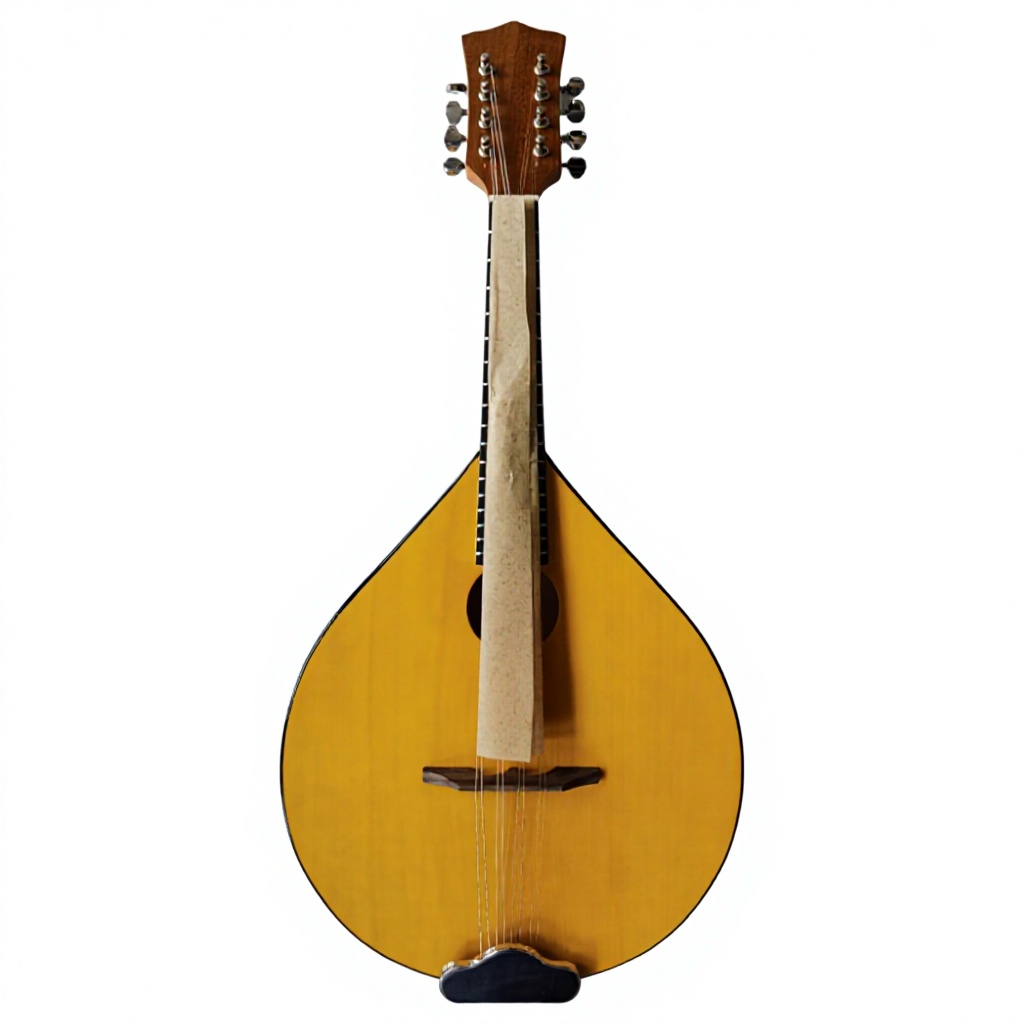 8-String Acoustic Banjo, Bassw - Mandolin A Style ulasan dan harga